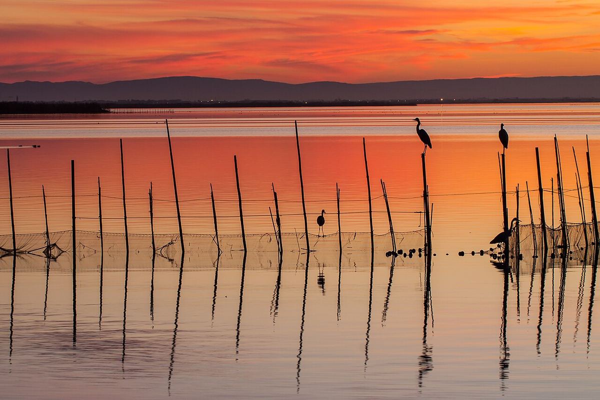 Miniatura de albufera-1.jpg