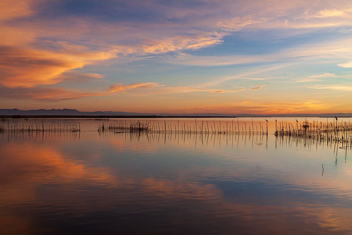 Cielo naranja y violeta reflejado en el agua de la Albufera al atardecer
