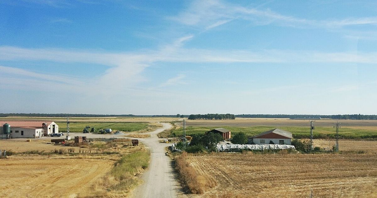 Carretera recta de tierra que cruza una llanura agrícola en España