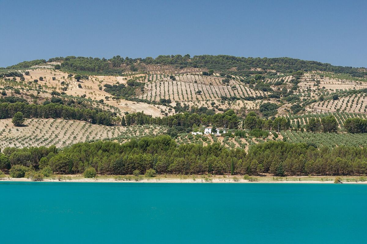 Colinas cubiertas de olivares junto a un embalse de agua turquesa en Andalucía