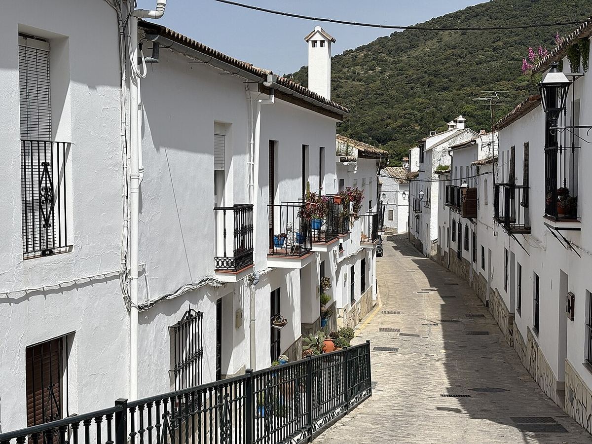 Calle empinada de casas encaladas con rejas en Benamahoma