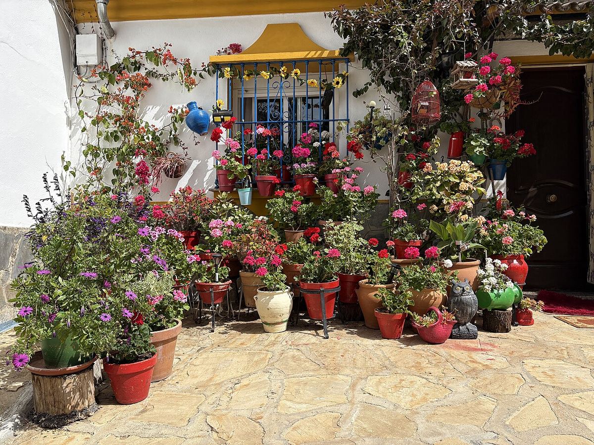 Entrada de una casa andaluza decorada con decenas de macetas con flores